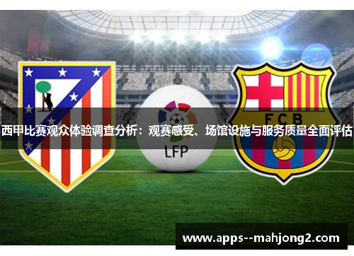 西甲比赛观众体验调查分析：观赛感受、场馆设施与服务质量全面评估