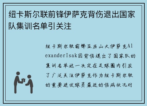 纽卡斯尔联前锋伊萨克背伤退出国家队集训名单引关注